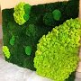 Стабилизированный мох - модное решение для дизайна помещений